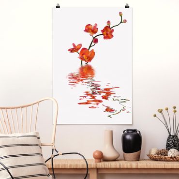 Poster - Flamy Orchid Waters