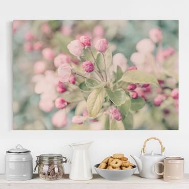 Impression sur toile - Apple Blossom Bokeh Light Pink