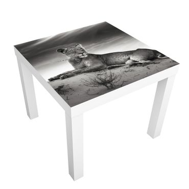 Papier adhésif pour meuble IKEA - Lack table d'appoint - Resting Lion