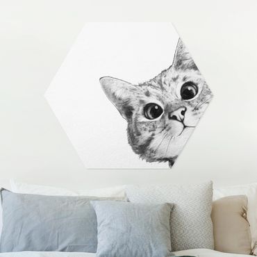 Hexagone en forex - Illustration Cat Drawing Black And White