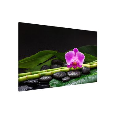 Tableau magnétique - Green Bamboo With Orchid Flower