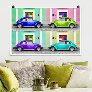 Poster - Coloured Beetles