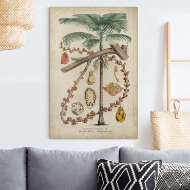 Impression sur toile - Vintage Board Exotic Palms II