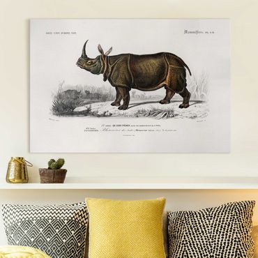 Impression sur toile - Vintage Board Rhino