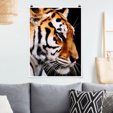 Poster animaux - Tiger Beauty