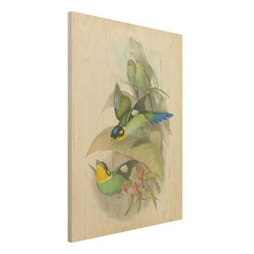 Impression sur bois - Vintage Illustration Tropical Birds
