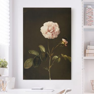 Tableau sur toile - Barbara Regina Dietzsch - French Rose With Bumblbee
