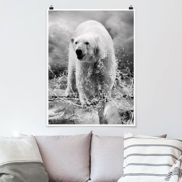 Poster animaux - King Of The North II