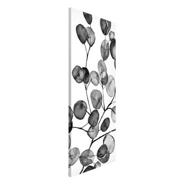 Tableau magnétique - Black And White Eucalyptus Twig Watercolour