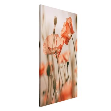 Tableau magnétique - Poppy Flowers In Summer Breeze