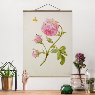 Tableau en tissu avec porte-affiche - Anna Maria Sibylla Merian - Wild Rose With Gracillariidae