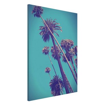 Tableau magnétique - Tropical Plants Palm Trees And Sky