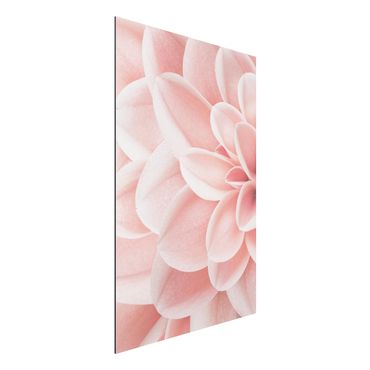Tableau sur aluminium - Dahlia Pink Petals Detail