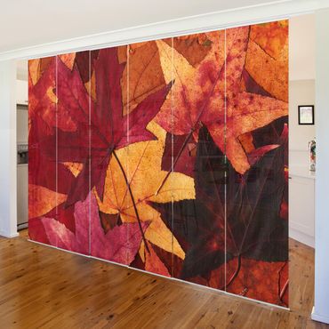 Set de panneaux coulissants - Coloured Leaves