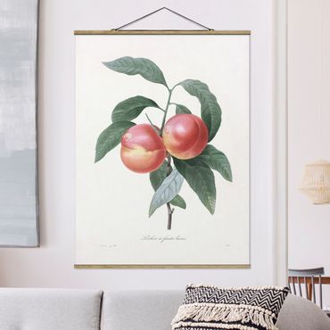 Tableau en tissu avec porte-affiche - Botany Vintage Illustration Peach