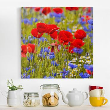Impression sur toile - Summer Meadow With Poppies And Cornflowers