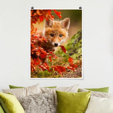 Poster animaux - Fox In Autumn