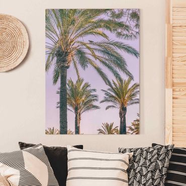 Impression sur toile - Palm Trees At Sunset