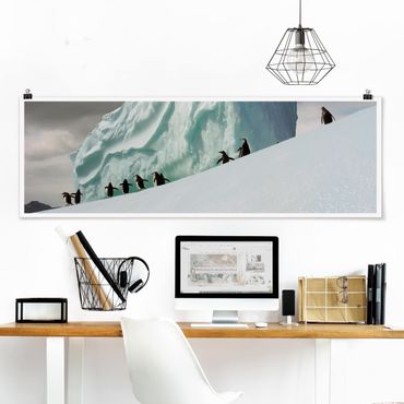 Poster panoramique animaux - Arctic Penguins