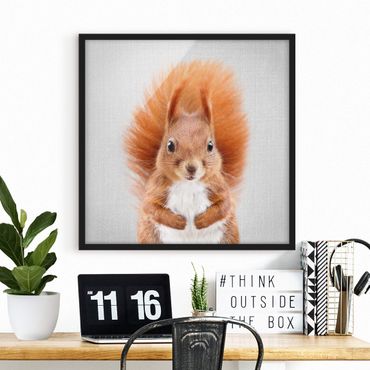Poster encadré - Squirrel Elisabeth