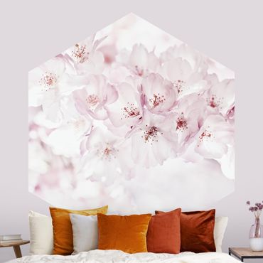 Papier peint hexagonal autocollant avec dessins - A Touch Of Cherry Blossoms