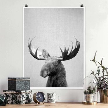 Poster reproduction - Elk Erhardt Black And White