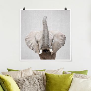 Poster reproduction - Elephant Ewald
