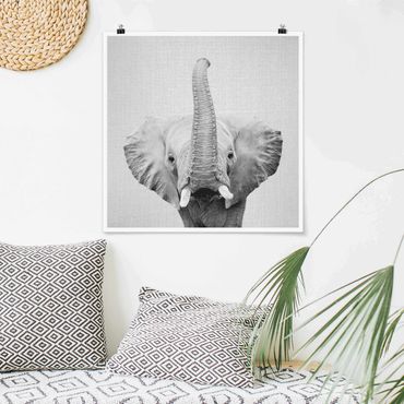 Poster reproduction - Elephant Ewald Black And White