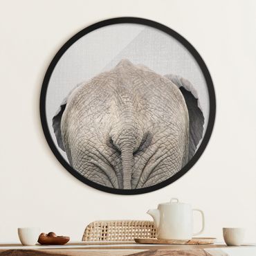 Tableau rond encadré - Elephant From Behind