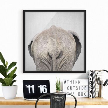 Poster encadré - Elephant From Behind