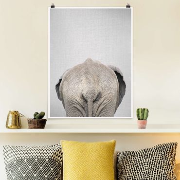 Poster reproduction - Elephant From Behind