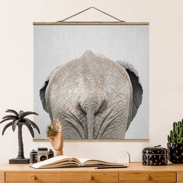 Tableau en tissu avec porte-affiche - Elephant From Behind - Carré 1:1