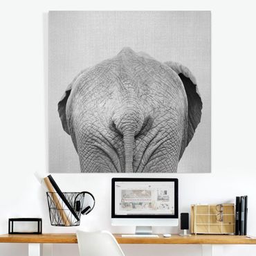 Tableau sur toile - Elephant From Behind Black And White - Carré 1:1