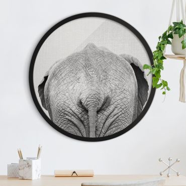 Tableau rond encadré - Elephant From Behind Black And White