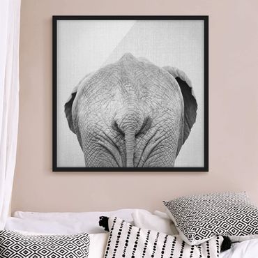 Poster encadré - Elephant From Behind Black And White