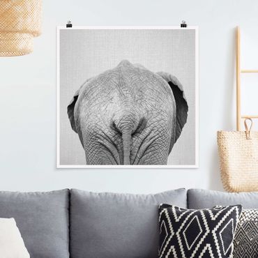 Poster reproduction - Elephant From Behind Black And White