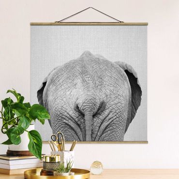 Tableau en tissu avec porte-affiche - Elephant From Behind Black And White - Carré 1:1