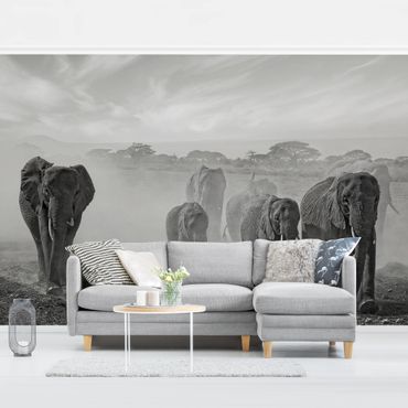 Papier peint - Herd Of Elephants