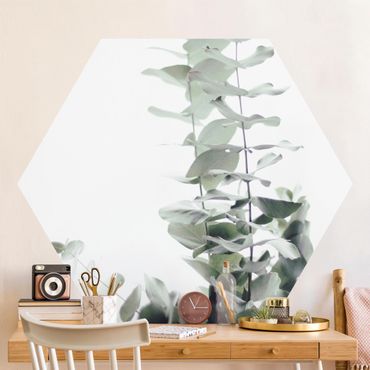 Papier peint hexagonal autocollant avec dessins - Eucalyptus In White Light