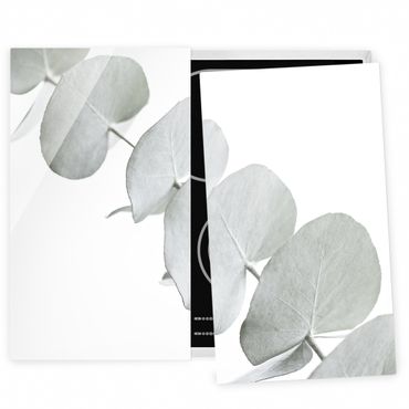 Cache plaques de cuisson - Eucalyptus Branch In White Light