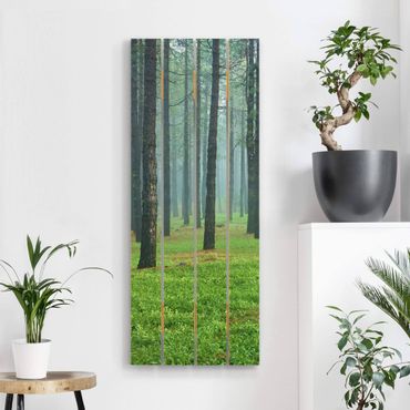 Impression sur bois - Deep Forest With Pine Trees On La Palma