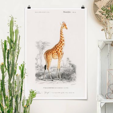 Poster - Vintage Board Giraffe