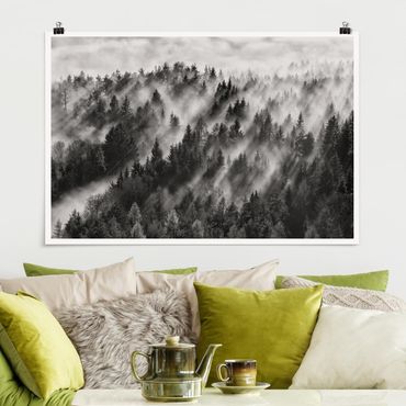 Poster - Light Rays In The Coniferous Forest