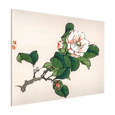 Tableau magnétique - Asian Vintage Drawing Apple Blossom