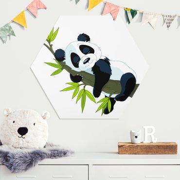 Hexagone en forex - Sleeping Panda
