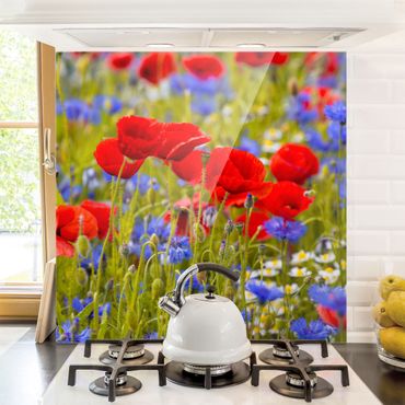 Fond de hotte - Summer Meadow With Poppies And Cornflowers
