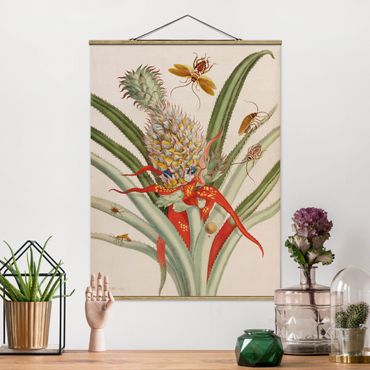 Tableau en tissu avec porte-affiche - Anna Maria Sibylla Merian - Pineapple With Insects
