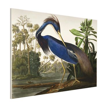 Tableau magnétique - Vintage Board Louisiana Heron