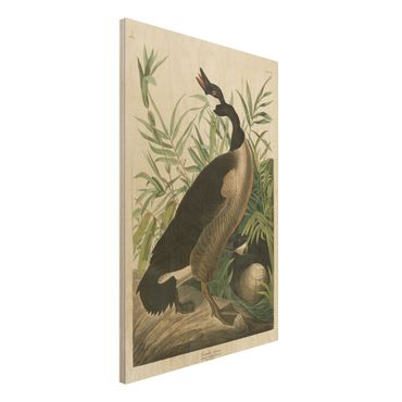 Impression sur bois - Vintage Board Canada Goose