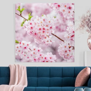 Impression sur toile - Japanese Cherry Blossoms